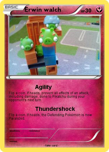 Pokemon Erwin walch