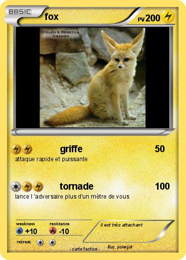 Pokemon fox