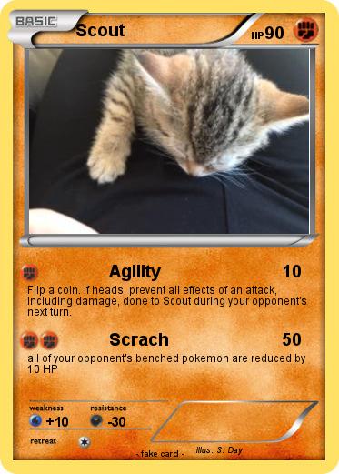 Pokemon Scout