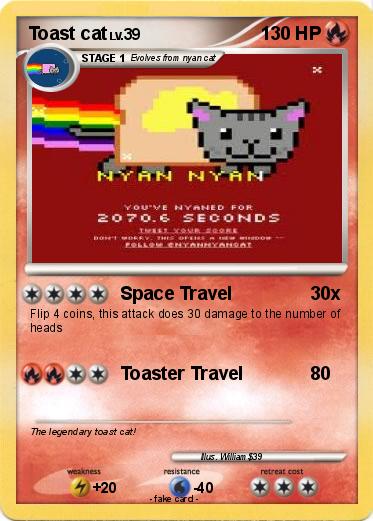 Pokemon Toast cat