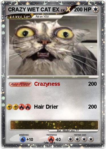 Pokemon CRAZY WET CAT EX