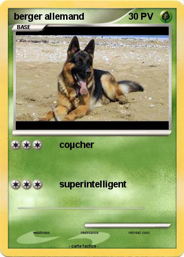 Pokemon berger allemand