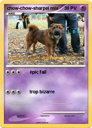 Pokemon chow-chow-sharpei mix