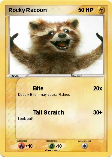 Pokemon Rocky Racoon