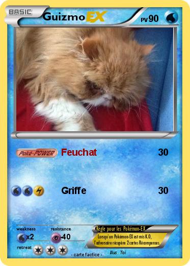 Pokemon Guizmo
