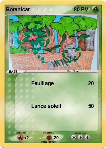 Pokemon Botanicat