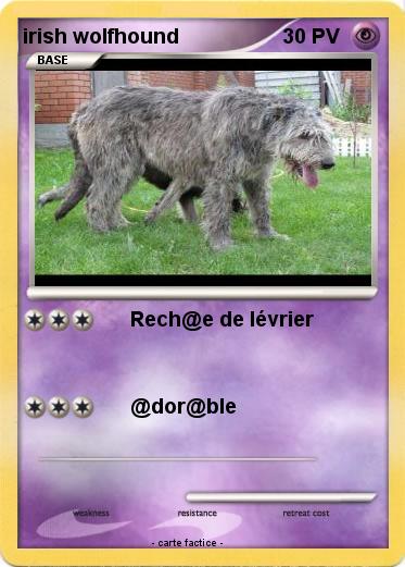 Pokemon irish wolfhound