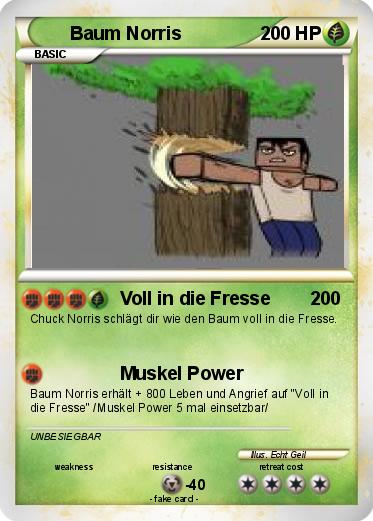 Pokemon Baum Norris