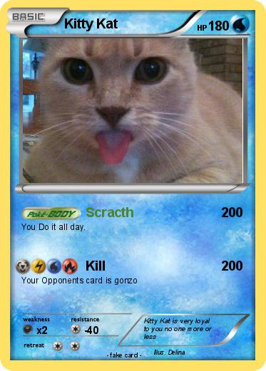 Pokemon Kitty Kat