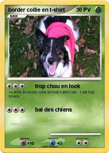Pokemon border collie en t-shirt