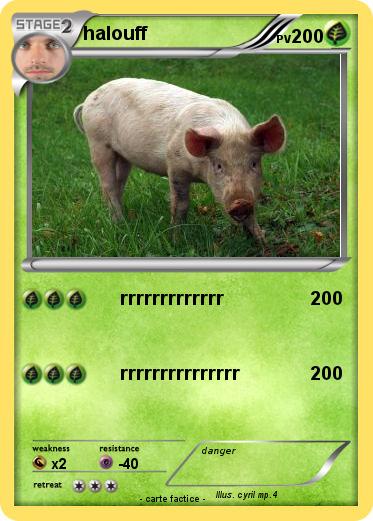 Pokemon halouff
