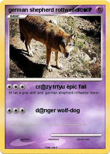 Pokemon german shepherd rottweiler mix