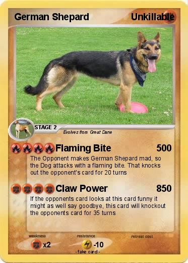 Pokemon German Shepard