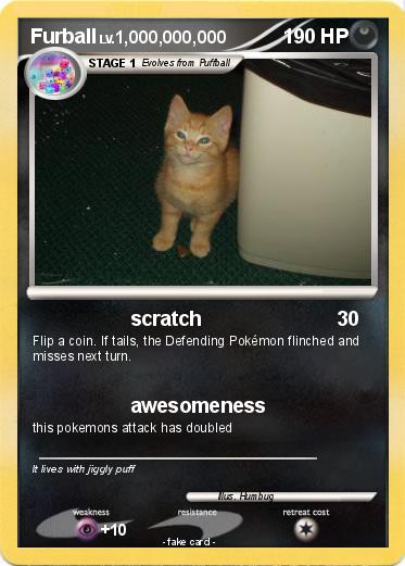 Pokemon Furball
