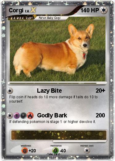 Pokemon Corgi