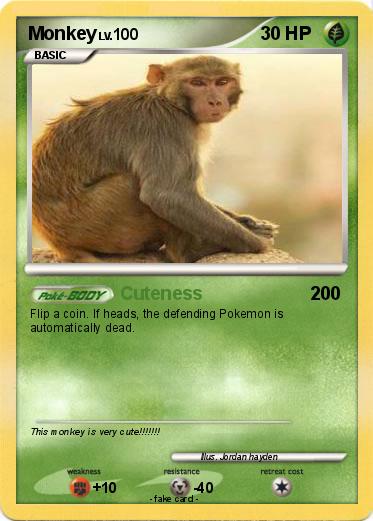 Pokemon Monkey