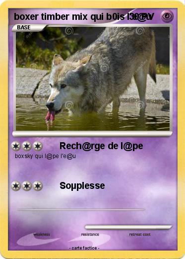 Pokemon boxer timber mix qui b0is l'e@u
