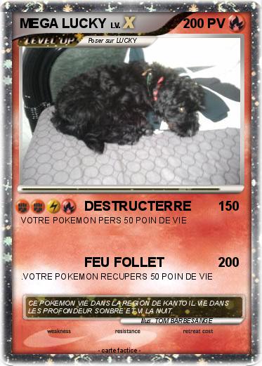 Pokemon MEGA LUCKY
