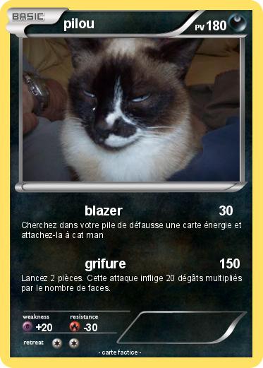 Pokemon pilou