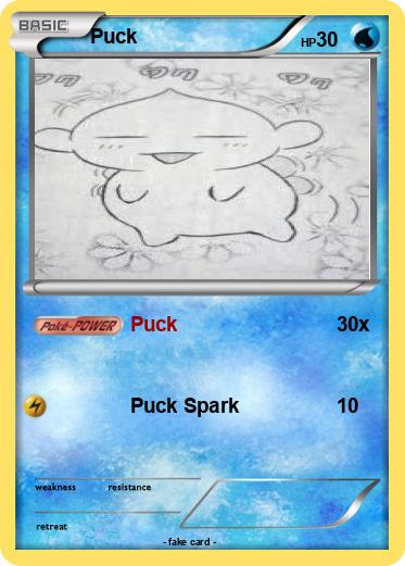 Pokemon Puck