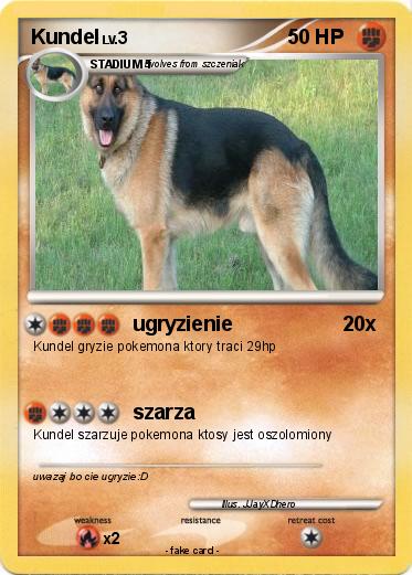 Pokemon Kundel