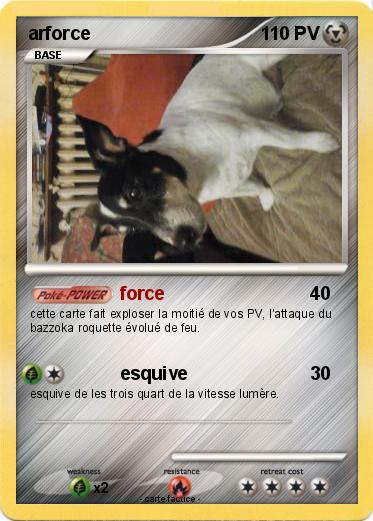 Pokemon arforce