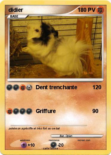 Pokemon didier