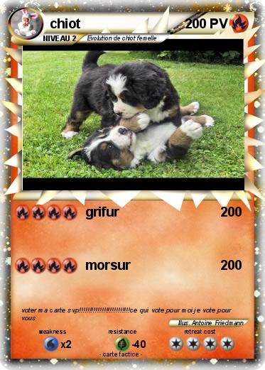 Pokemon chiot
