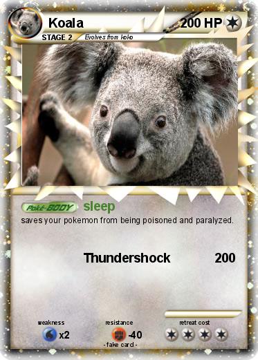 Pokemon Koala