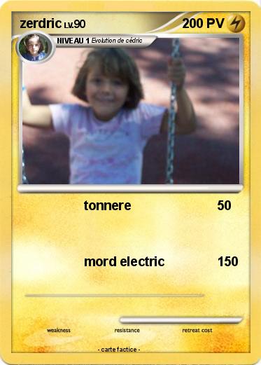 Pokemon zerdric