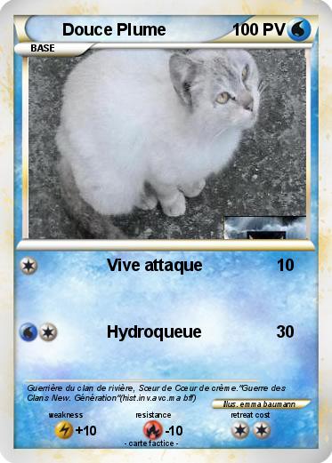 Pokemon Douce Plume