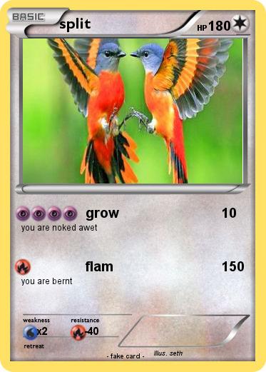 Pokemon split