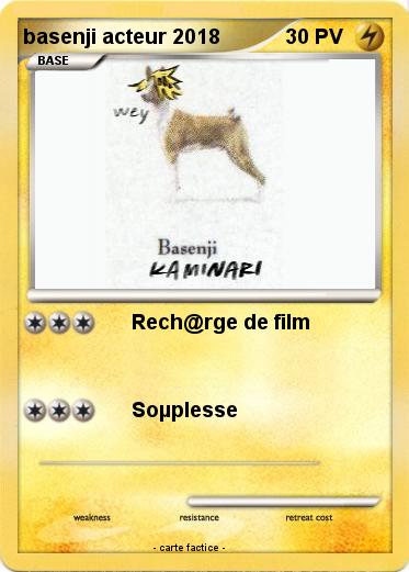Pokemon basenji acteur 2018
