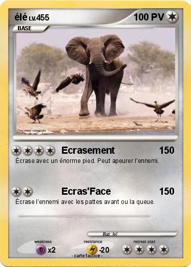 Pokemon élé