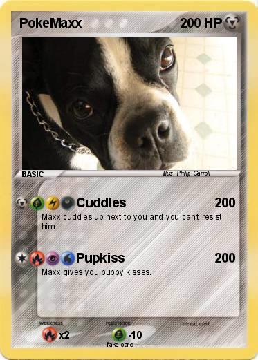 Pokemon PokeMaxx