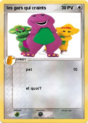 Pokemon les gars qui craints