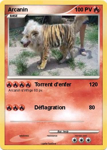 Pokemon Arcanin