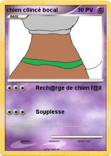 Pokemon chien c0incé bocal