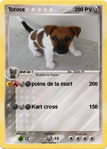 Pokemon Totoss