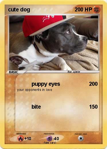 Pokemon cute dog