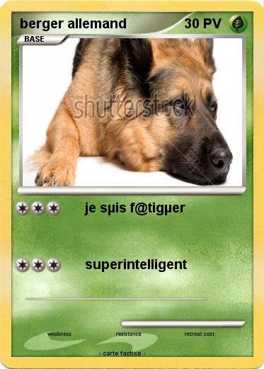 Pokemon berger allemand
