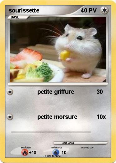 Pokemon sourissette