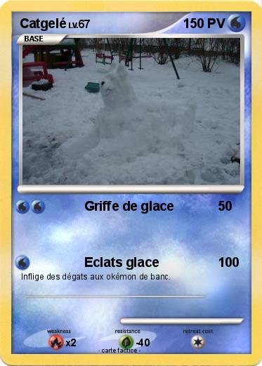 Pokemon Catgelé