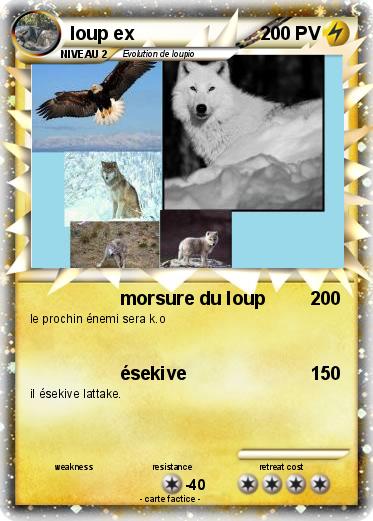 Pokemon loup ex