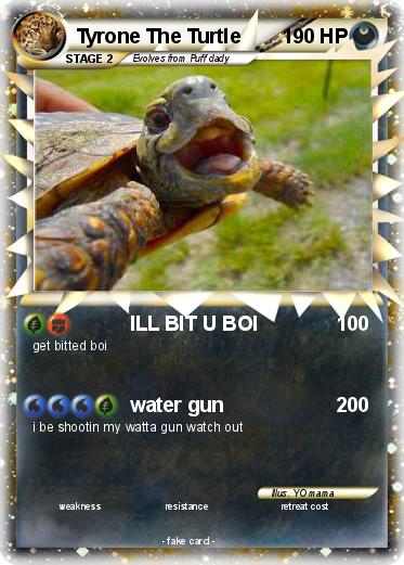 Pokemon Tyrone The Turtle