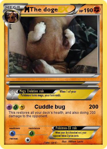 Pokemon The doge