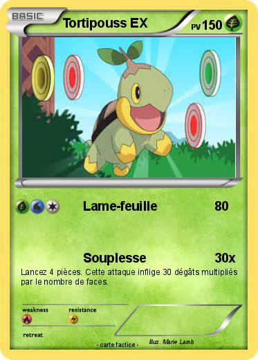 Pokemon Tortipouss EX