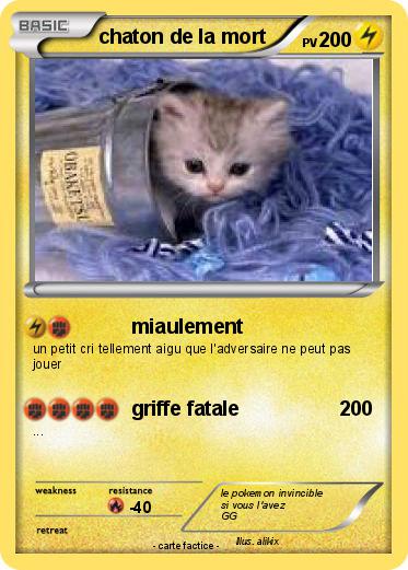 Pokemon chaton de la mort