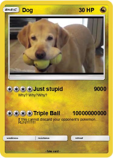 Pokemon Dog