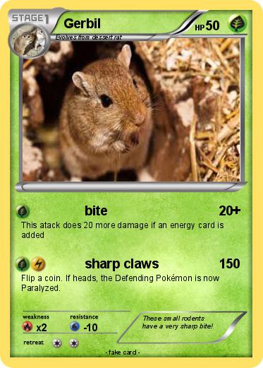 Pokemon Gerbil